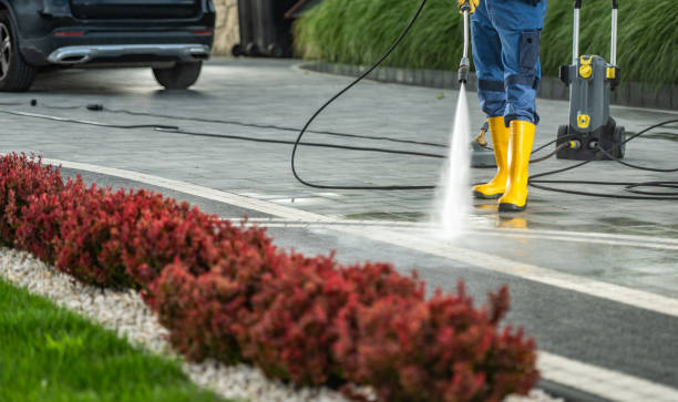 Best Dumpster Area Cleaning  in Lindstrom, MN